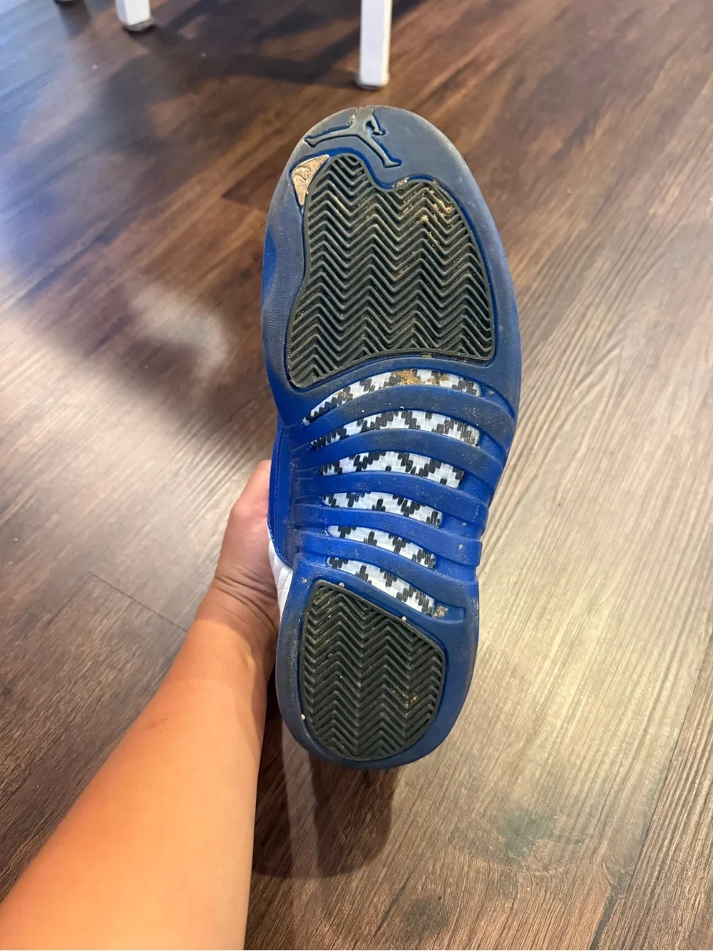Air Jordan 12 Retro Blueberry